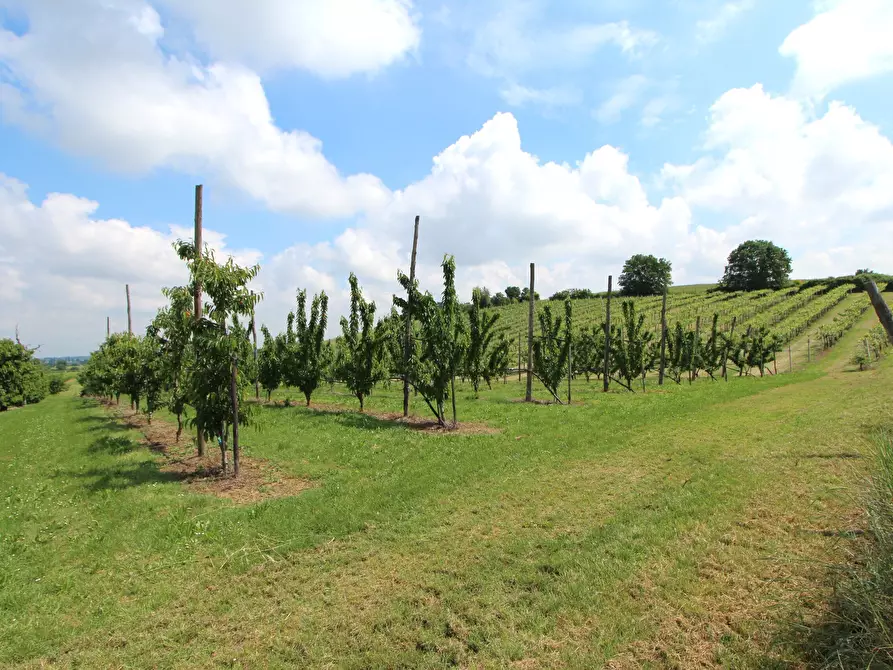 Immagine 17 di Porzione di casa in vendita  in Via San Francesco a Valsamoggia