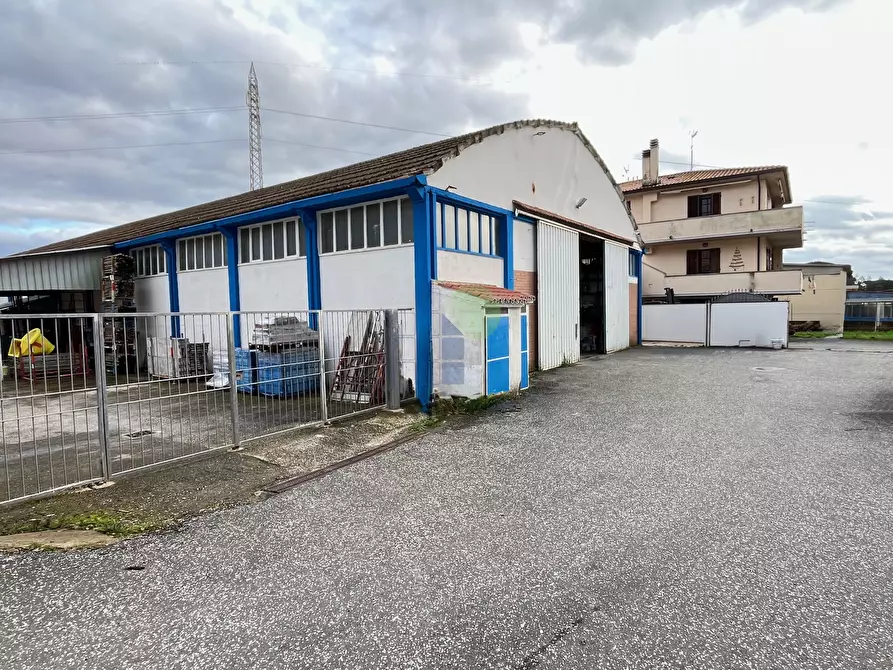 Immagine 10 di Attività artigianale in vendita  in Via di Poggio Gagliardo 11 a Montescudaio