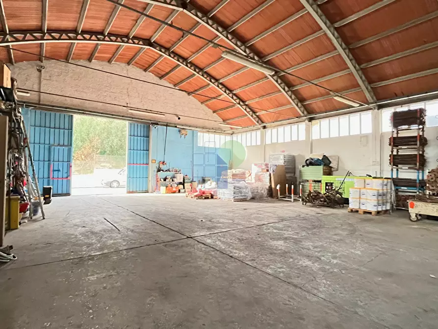 Immagine 1 di Attività artigianale in vendita  in Via di Poggio Gagliardo 11 a Montescudaio