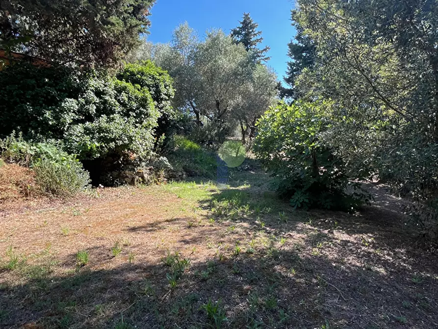 Immagine 14 di Terreno agricolo in vendita  in Via delle More 8 a Livorno