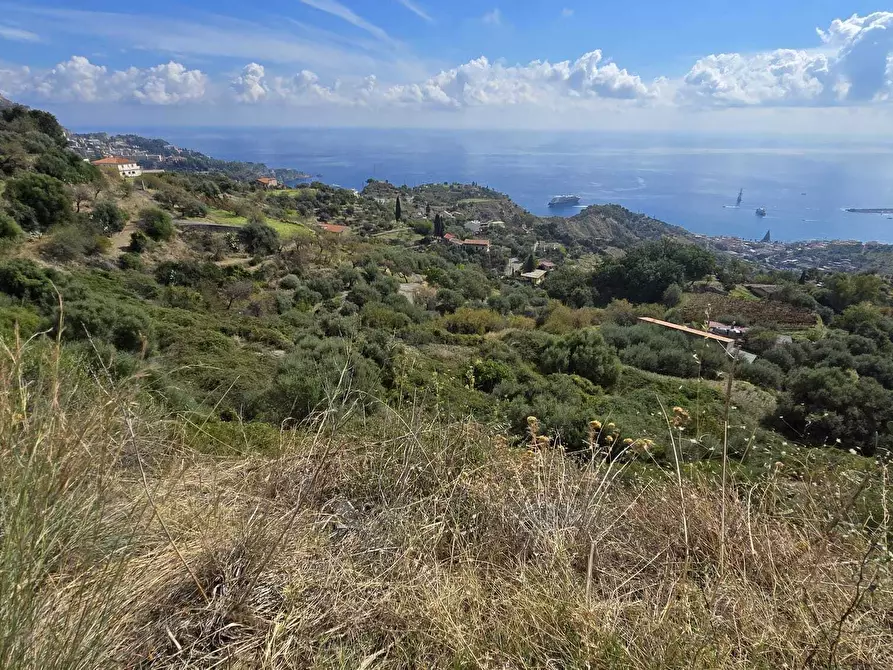 Immagine 9 di Terreno agricolo in vendita  in c,da mastrissa a Castelmola