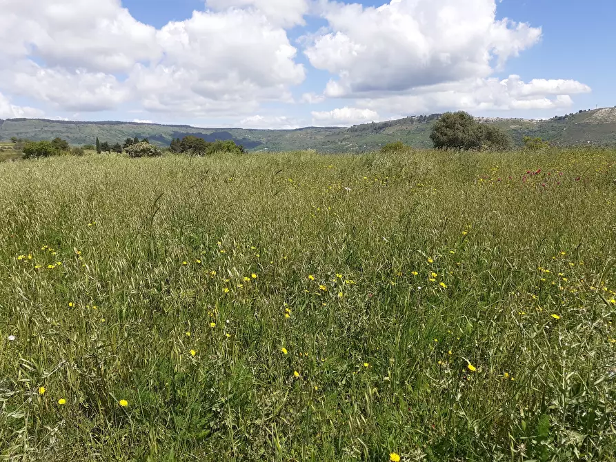 Immagine 3 di Terreno agricolo in vendita  in c.da Poi a Palazzolo Acreide