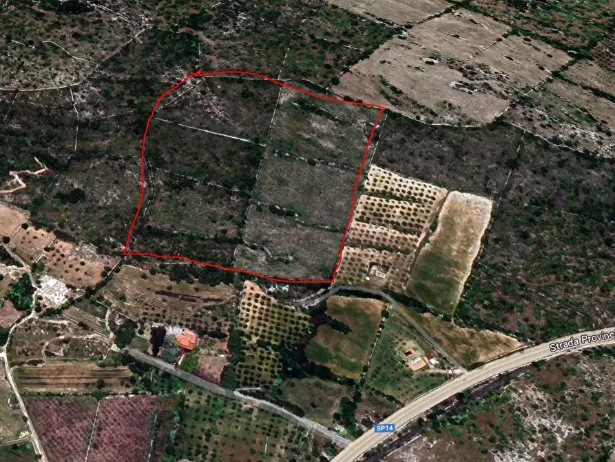 Immagine 12 di Terreno agricolo in vendita  in Strada Provinciale 14 5 a Noto
