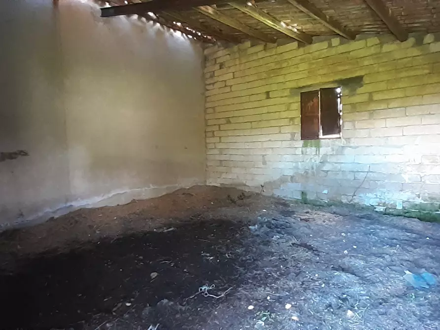 Immagine 3 di Rustico / casale in vendita  in c.da Poi a Palazzolo Acreide