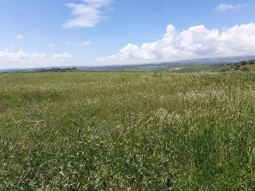 Immagine 37 di Rustico / casale in vendita  in c.da Poi a Palazzolo Acreide