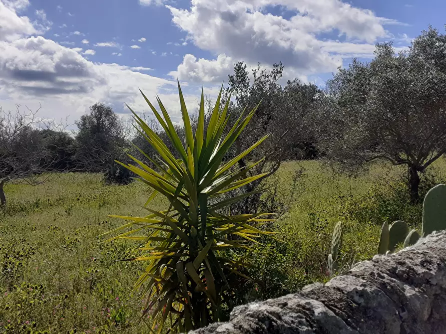 Immagine 48 di Villetta a schiera in vendita  in Via Acre 19 a Palazzolo Acreide