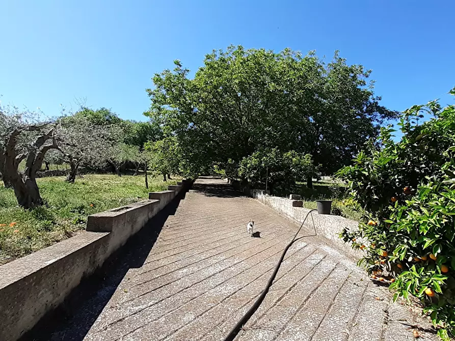 Immagine 19 di Rustico / casale in vendita  in Strada Provinciale 24 21 a Noto