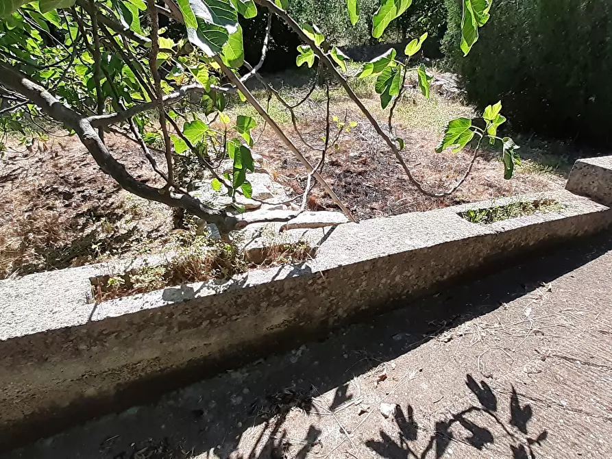 Immagine 39 di Rustico / casale in vendita  in Strada Provinciale 24 21 a Noto