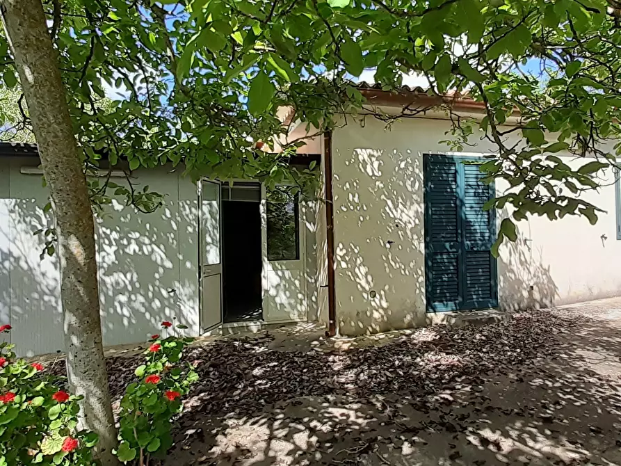 Immagine 19 di Terreno agricolo in vendita  in Strada Statale 287 a Noto