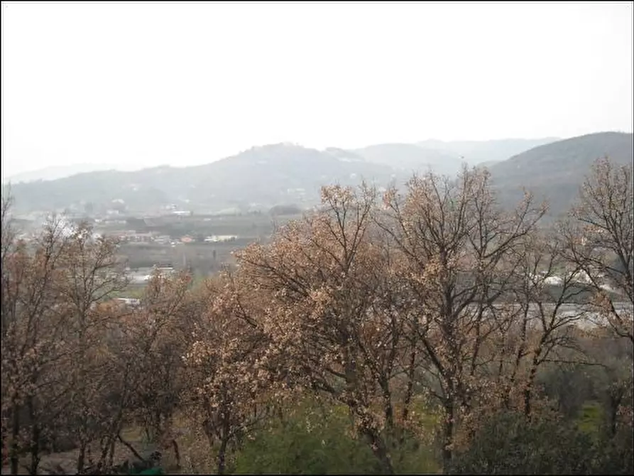 Immagine 8 di Casa trifamiliare in vendita  a Monsummano Terme