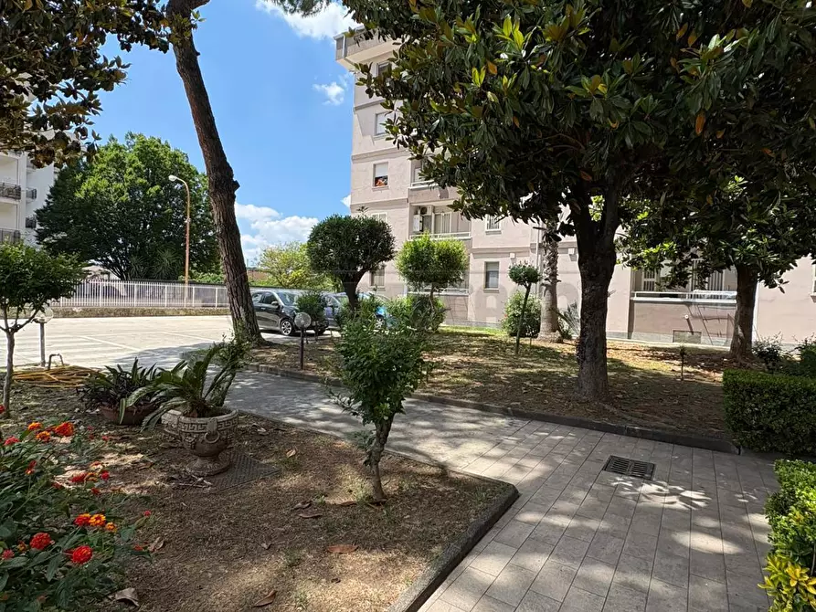 Immagine 21 di Pentalocale in vendita  in Via Eugenio Montale a Marcianise