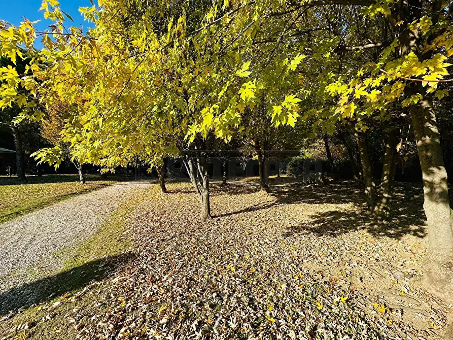 Immagine 37 di Appartamento in affitto  in Via del torchio a Manerba Del Garda