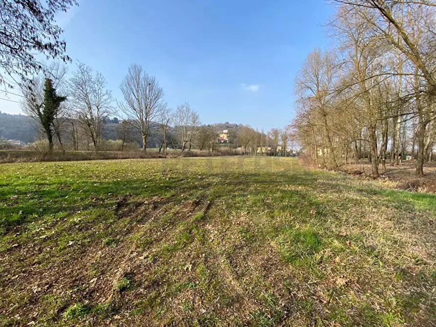 Immagine 4 di Terreno agricolo in vendita  a Arcugnano