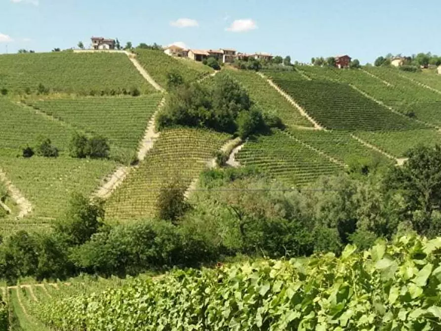 Immagine 3 di Terreno agricolo in vendita  a Castelvetrano