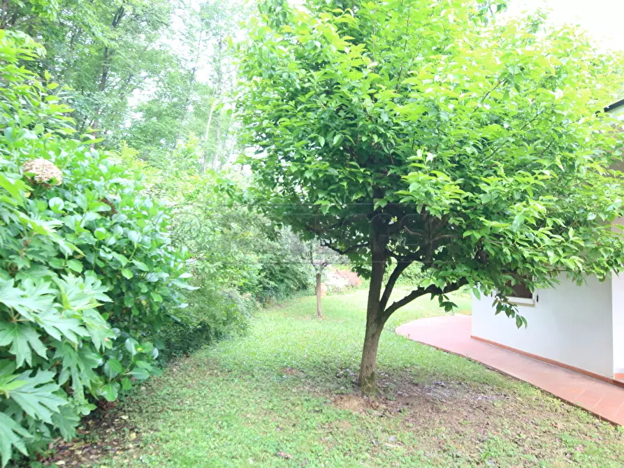 Immagine 59 di Villa in affitto  in Via San Rocco a Arcugnano