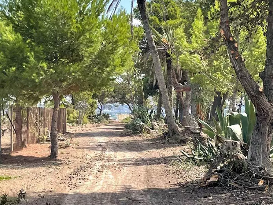 Immagine 9 di Villa in vendita  a Marsala