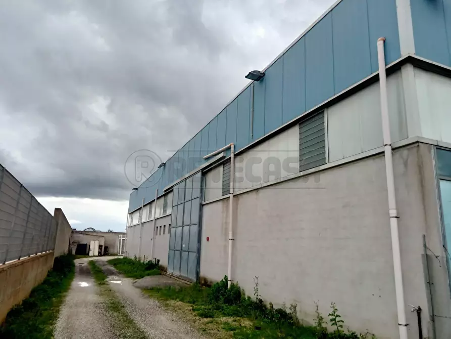 Immagine 3 di Attività artigianale in vendita  a Castelvetrano