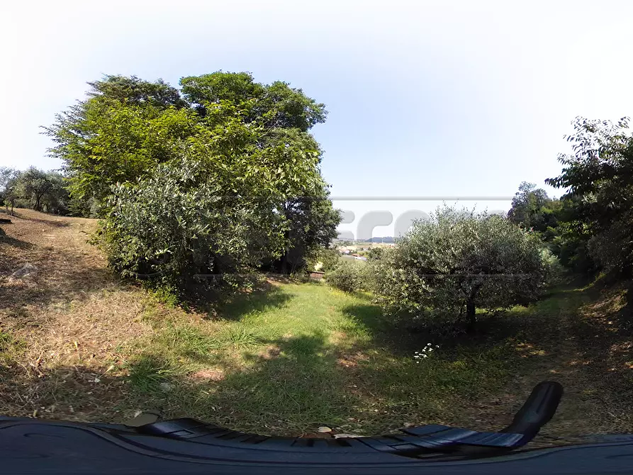 Immagine 46 di Terreno agricolo in vendita  in Via Bazziola a Monteviale