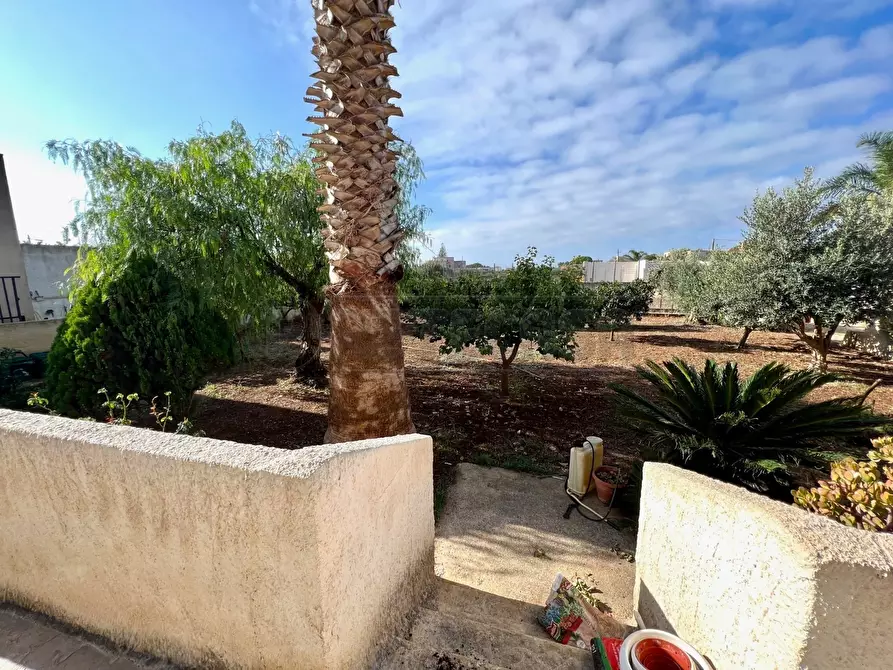 Immagine 6 di Villa in vendita  in CONTRADA CIANCIO SNC a Marsala