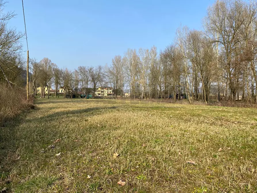 Immagine 5 di Terreno agricolo in vendita  a Arcugnano