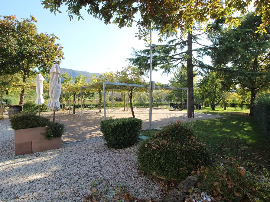 Immagine 3 di Agriturismo in vendita  a Brendola