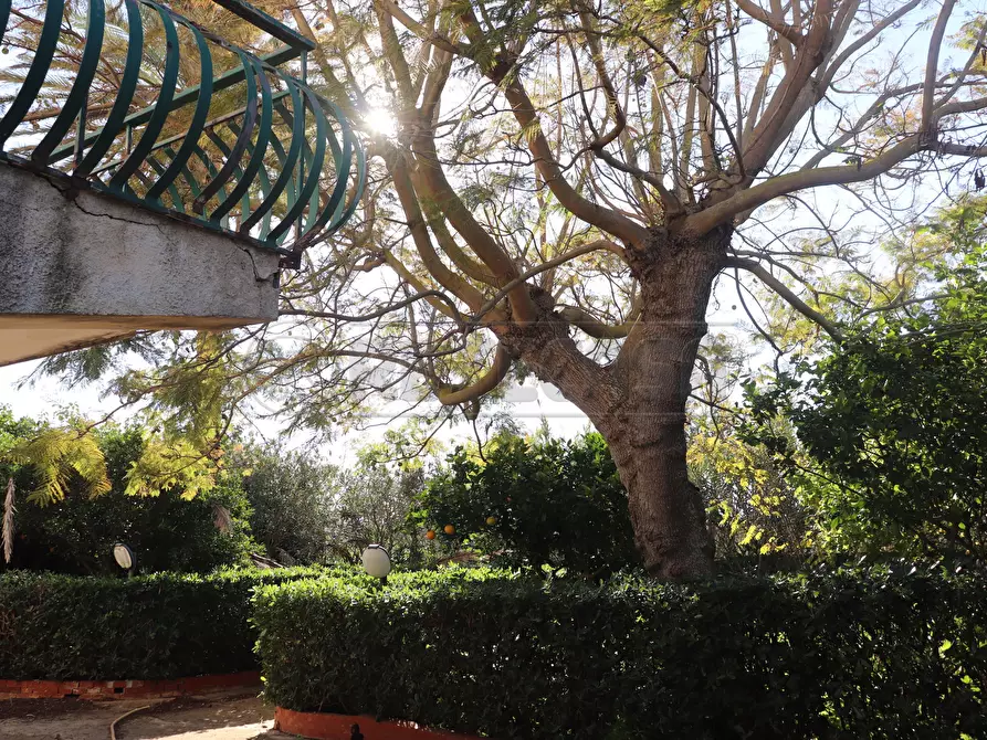 Immagine 8 di Villa in vendita  a Mazara Del Vallo