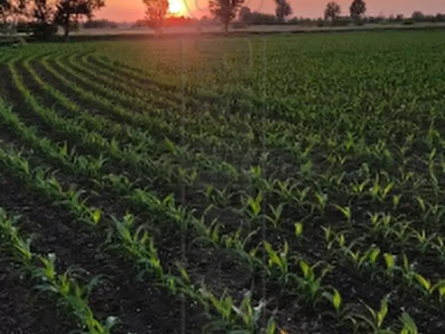Immagine 2 di Rustico / casale in vendita  in Via Bagnarolo a Gadesco Pieve Delmona