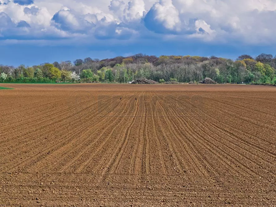 terreno edificabile in vendita a Castelvetrano