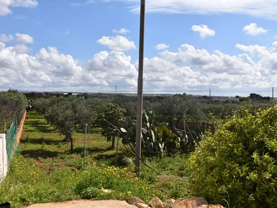 Immagine 17 di Rustico / casale in vendita  in contrada Bianca a Mazara Del Vallo
