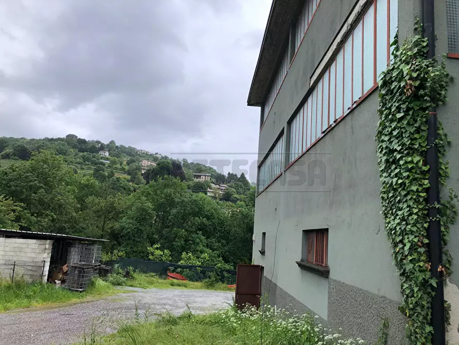 Immagine 1 di Attività artigianale in affitto  a Sorisole