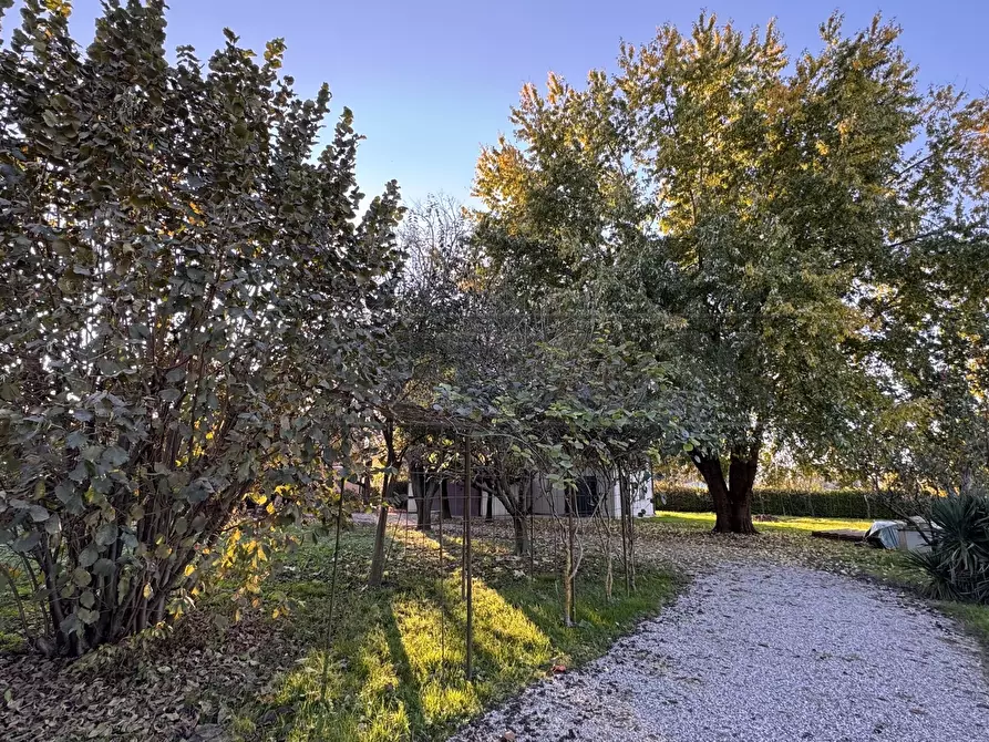 Immagine 27 di Casa indipendente in vendita  a Mirano