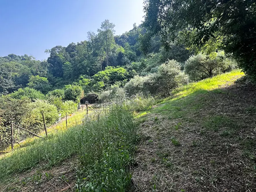 Immagine 4 di Terreno agricolo in vendita  in Via Bazziola a Monteviale
