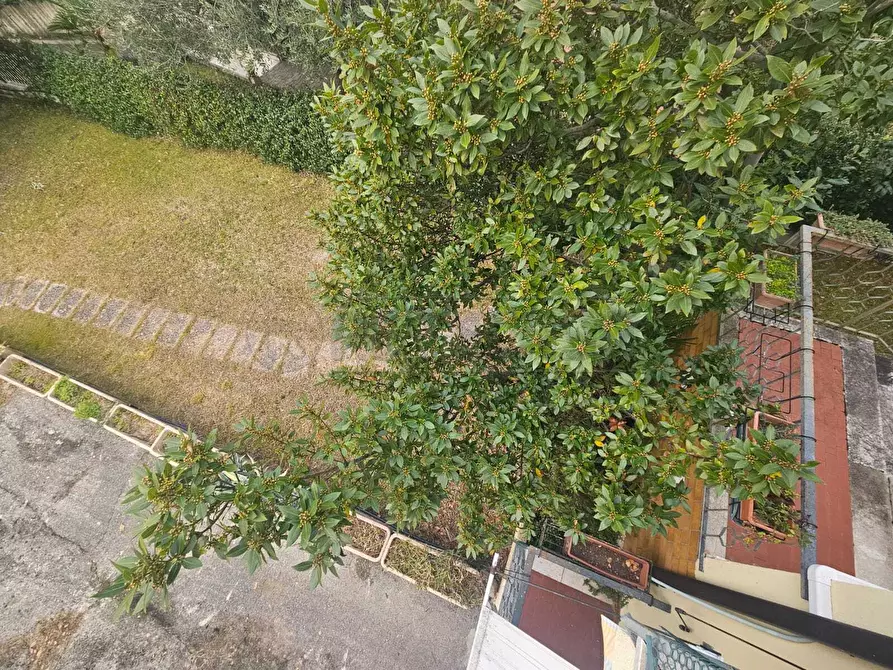 Immagine 12 di Trilocale in vendita  a Bardolino