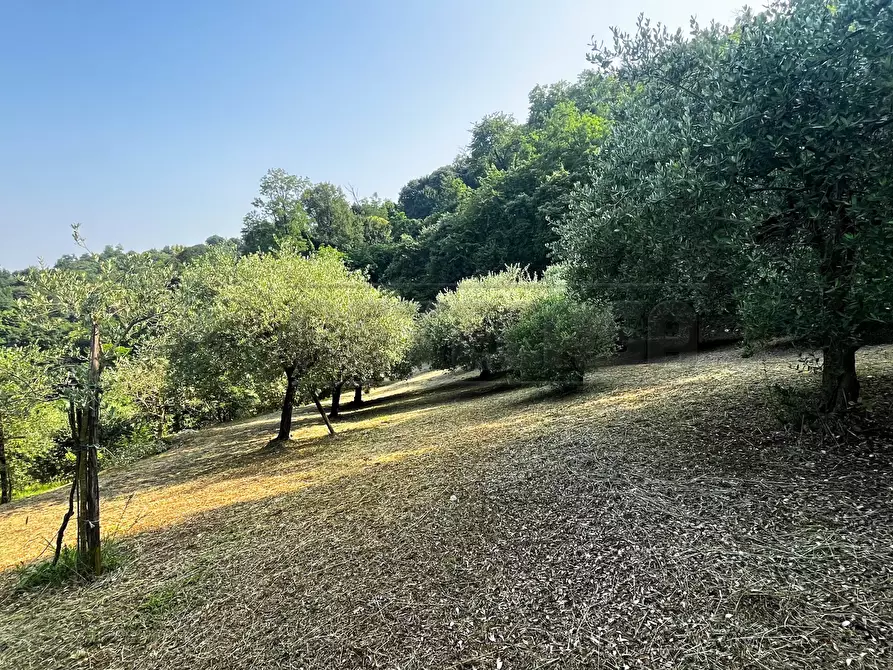 Immagine 14 di Terreno agricolo in vendita  in Via Bazziola a Monteviale