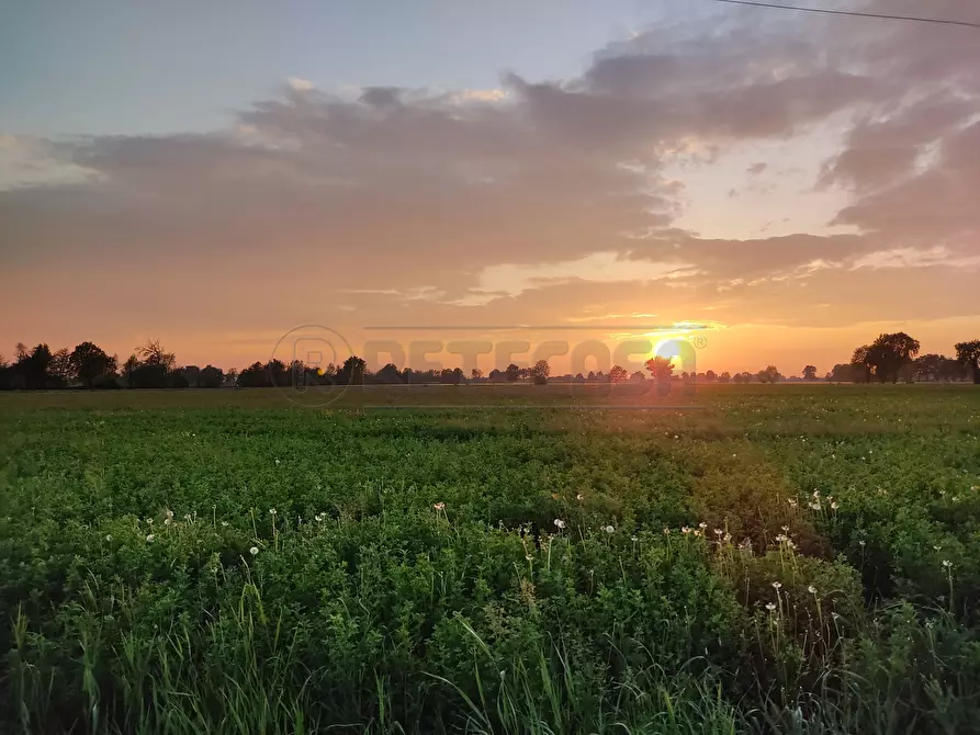 Immagine 7 di Rustico / casale in vendita  in Via Bagnarolo a Gadesco Pieve Delmona