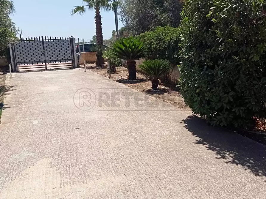 Immagine 3 di Villa in vendita  a Castelvetrano