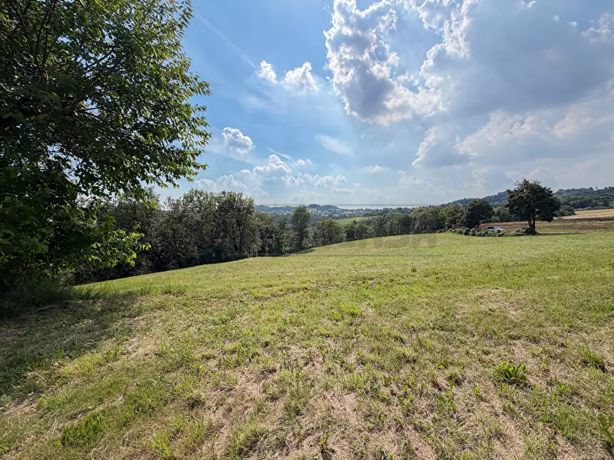 Immagine 6 di Terreno agricolo in vendita  in Via Castegnini di Sopra a Sovizzo