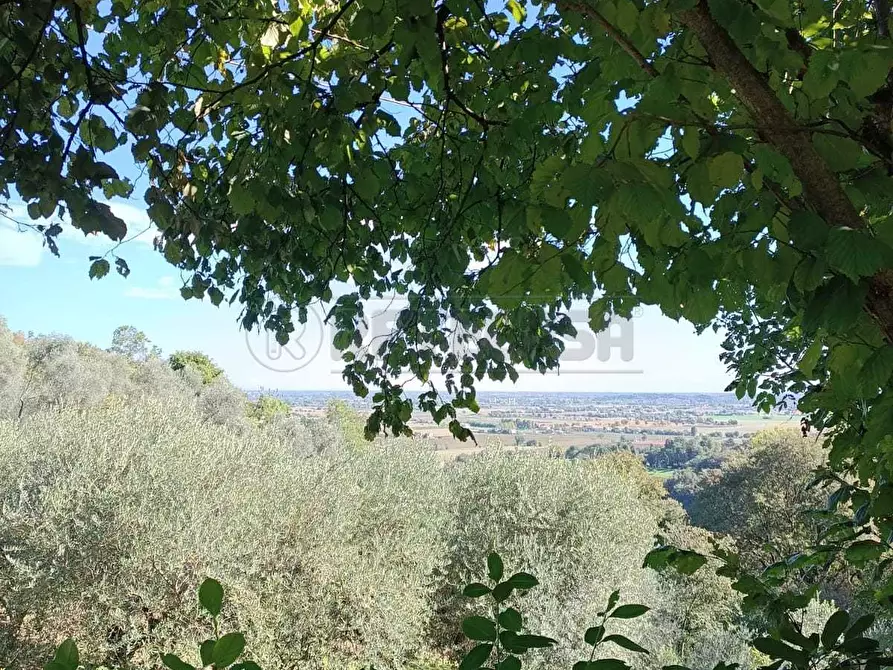 Immagine 18 di Terreno agricolo in vendita  in Via Castellaro a Castegnero