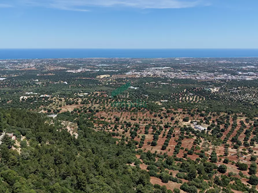 Immagine 32 di Monolocale in vendita  in Viale delle Querce 3 a Fasano