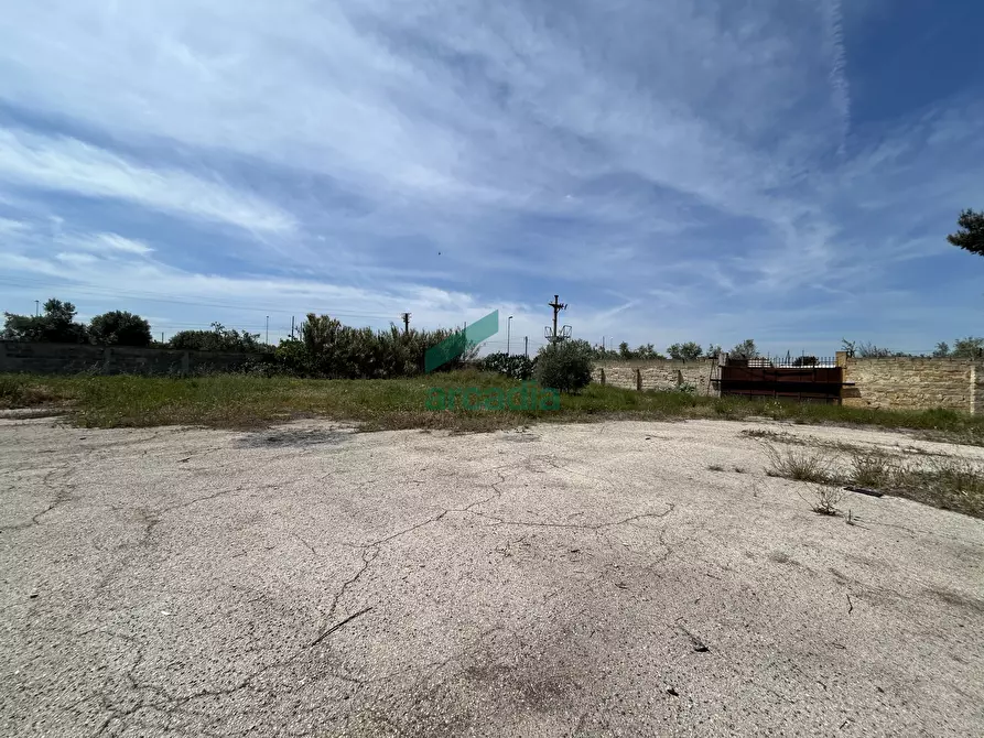 Immagine 4 di Attività artigianale in vendita  in Strada Rurale Mammagnora 3 a Bari