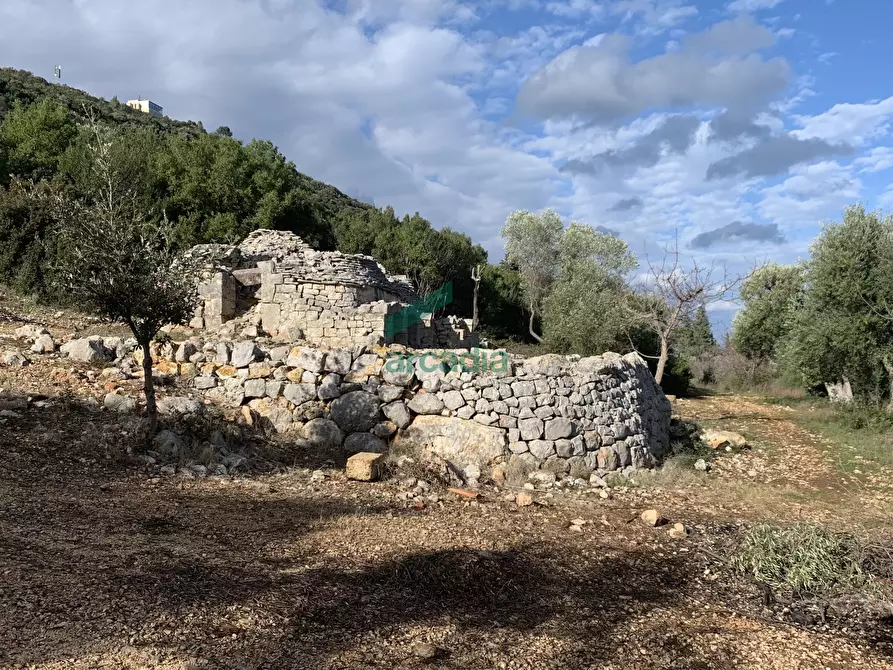Immagine 5 di Rustico / casale in vendita  in Contrada Torchiano a Monopoli