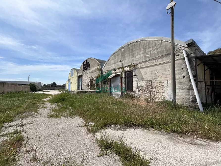 Immagine 9 di Attività artigianale in vendita  in Strada Rurale Mammagnora 3 a Bari