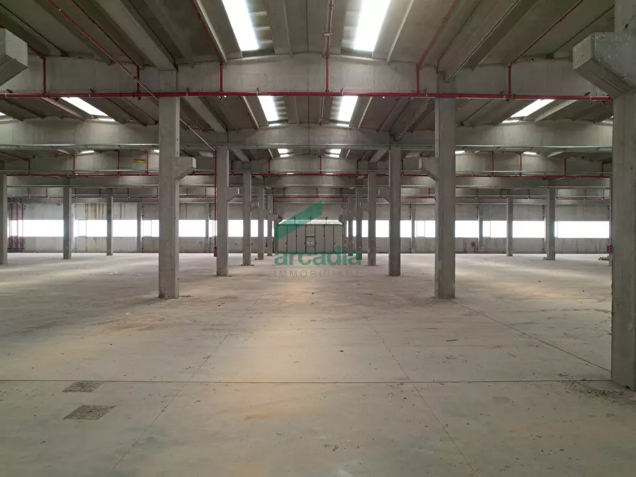 Immagine 5 di Attività artigianale in vendita  in Via delle Violette 12 a Modugno