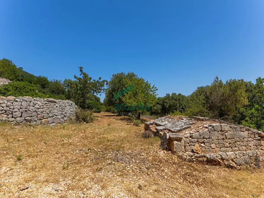 Immagine 22 di Rustico / casale in vendita  in Contrada Torchiano a Monopoli
