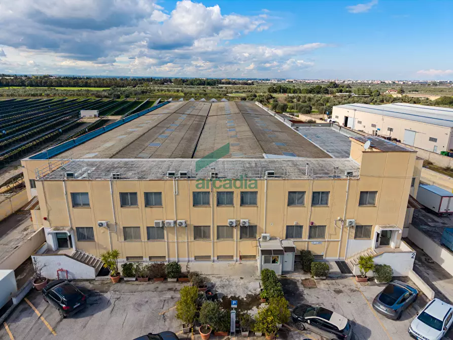 Immagine 10 di Attività artigianale in vendita  in Via Casamassima 91 a Capurso