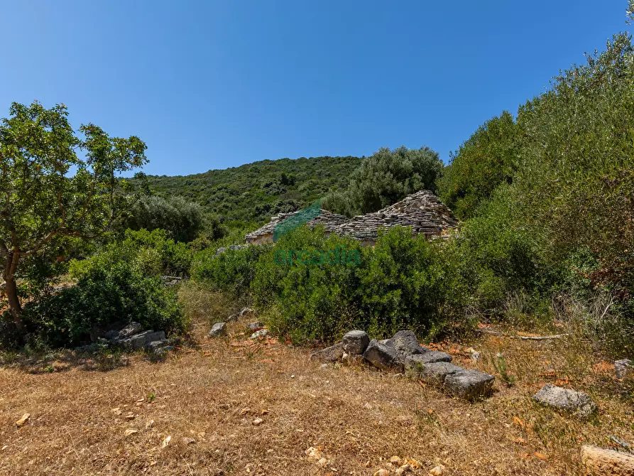 Immagine 28 di Rustico / casale in vendita  in Contrada Torchiano a Monopoli