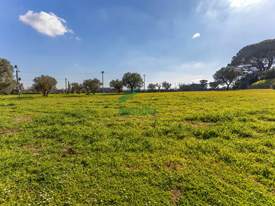 Immagine 49 di Locale commerciale in vendita  in Strada Vicinale Vecchia di Matera 369 a Gioia Del Colle