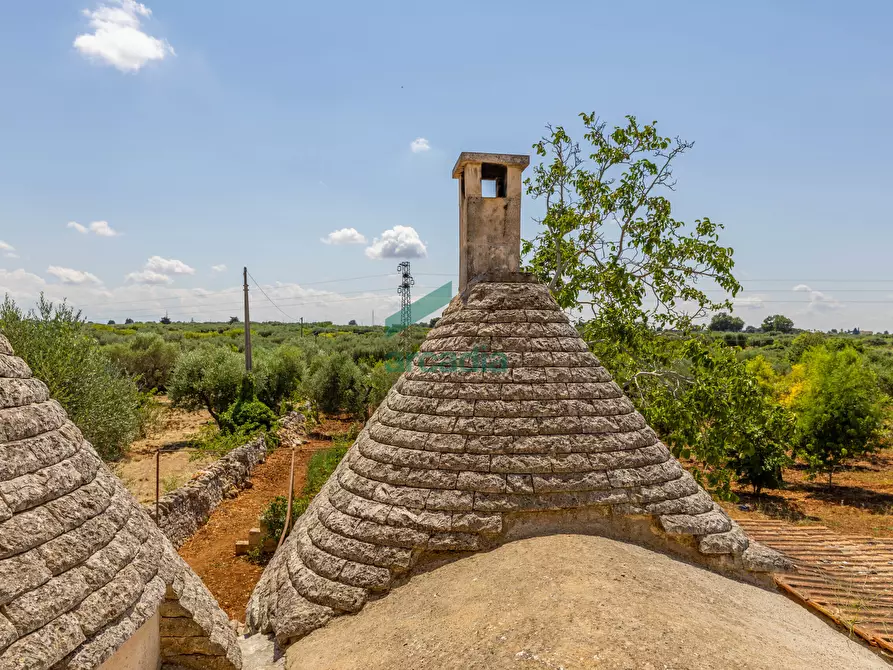 Immagine 36 di Rustico / casale in vendita  in SP32 68 a Putignano