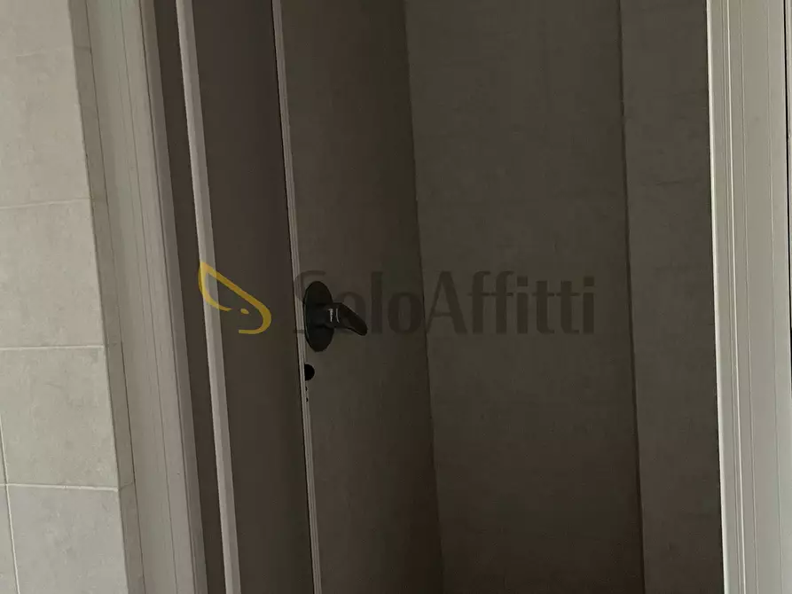 Immagine 17 di Trilocale in affitto  in Corso Svizzera a Torino