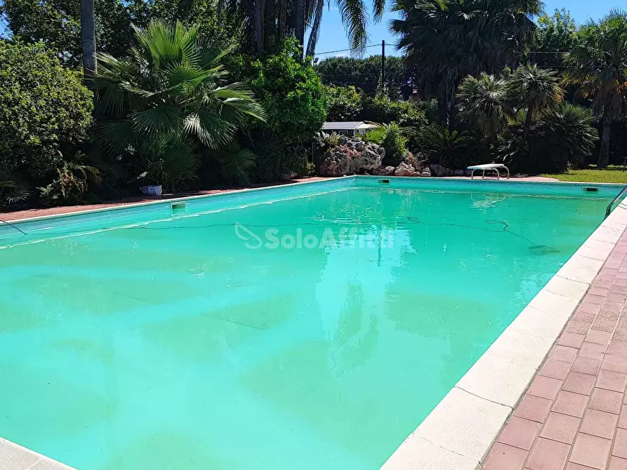 Immagine 26 di Loft/Open space in affitto  a Latina